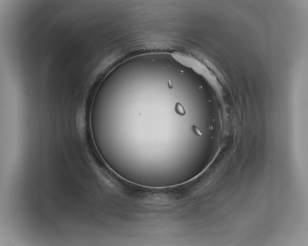 X0000111390677200907101147