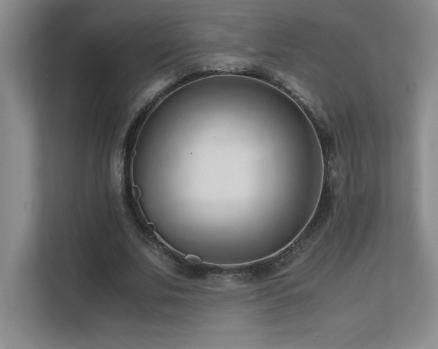 X0000111390679200907101147