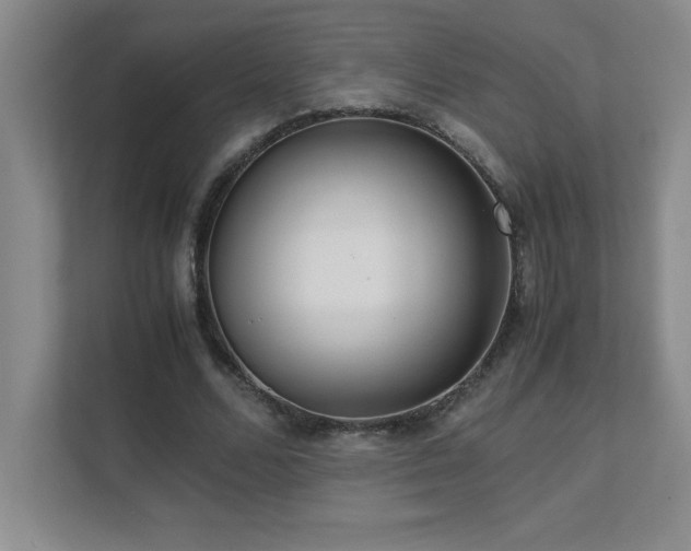 X0000111390680200907101147