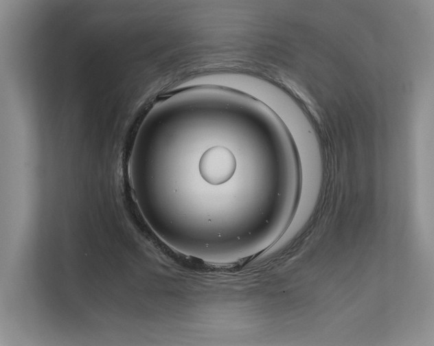 X0000111390681200907101147