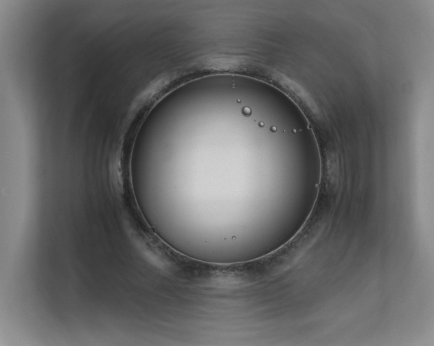 X0000111390682200907101147