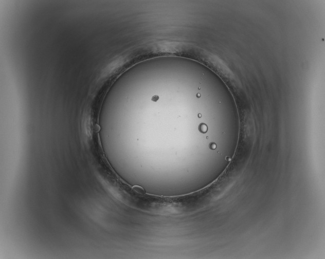 X0000111390683200907101147