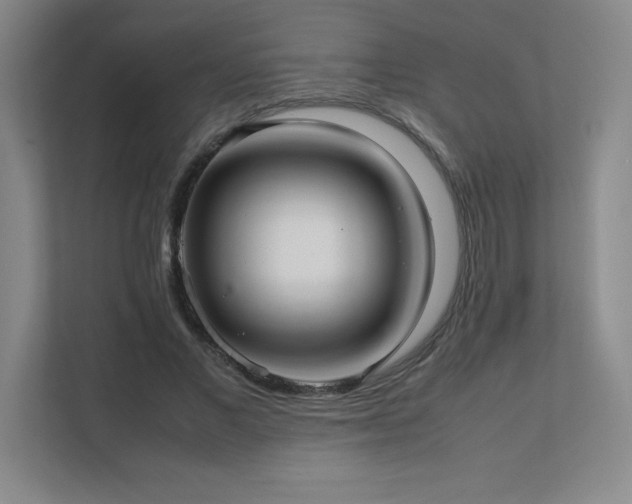 X0000111390685200907101147