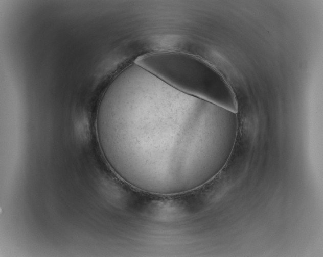 X0000111390688200907101147