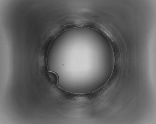 X0000111390689200907101147