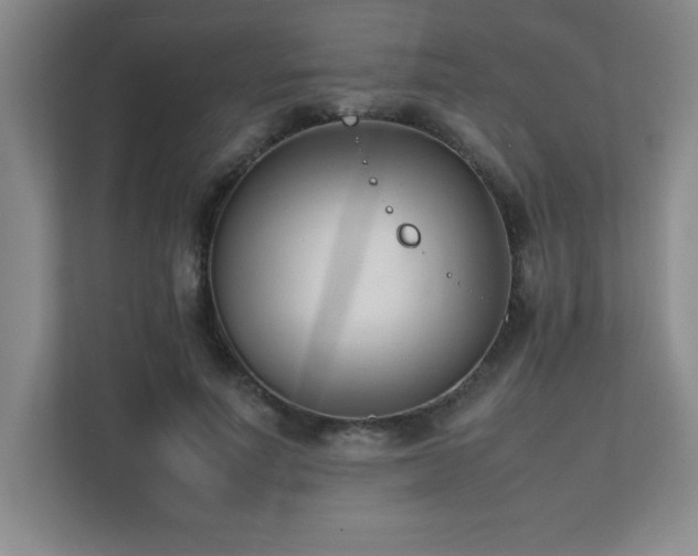 X0000111390691200907101147