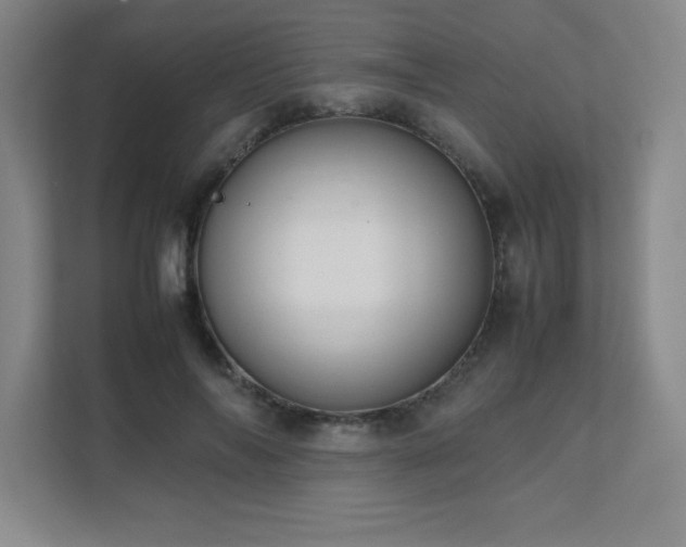 X0000111390694200907101147