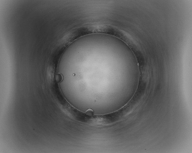 X0000111390695200907101147