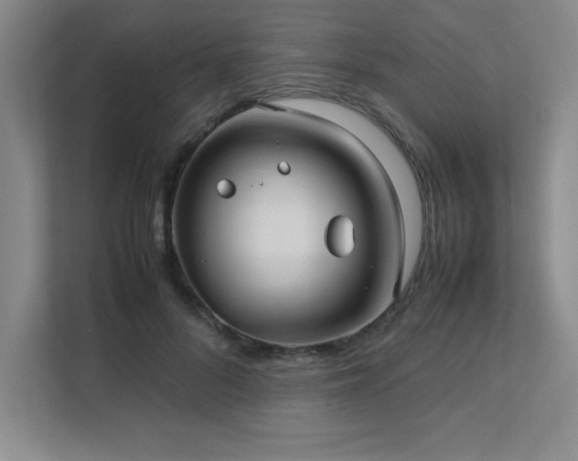 X0000111390696200907101147