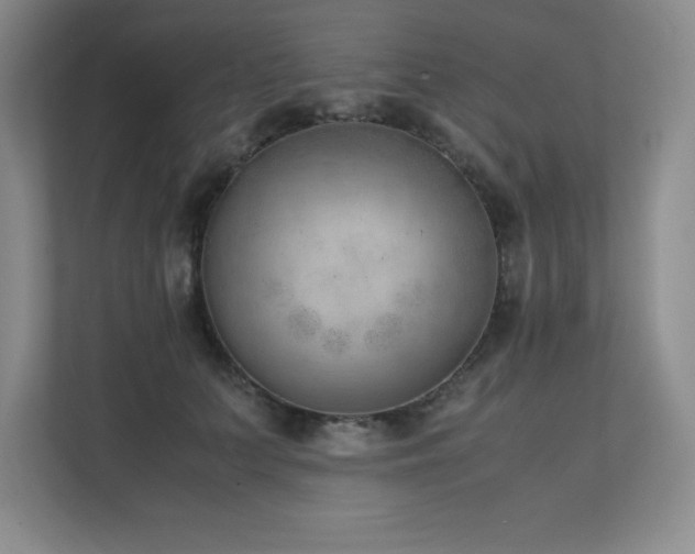 X0000111390703200907101147