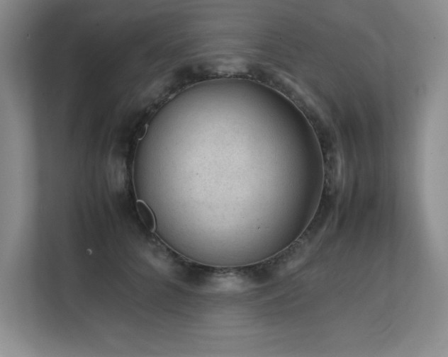 X0000111390704200907101147