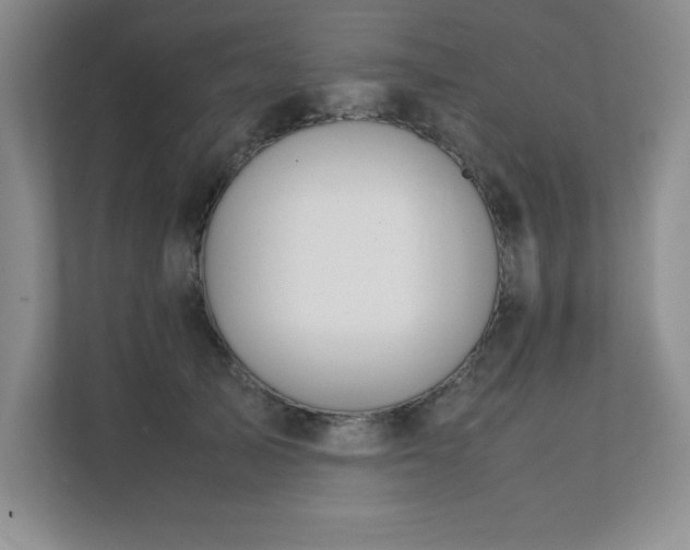 X0000111390705200907101147