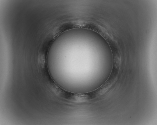 X0000111390707200907101147