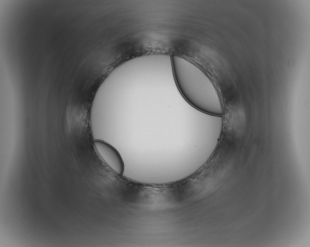 X0000111390713200907101146