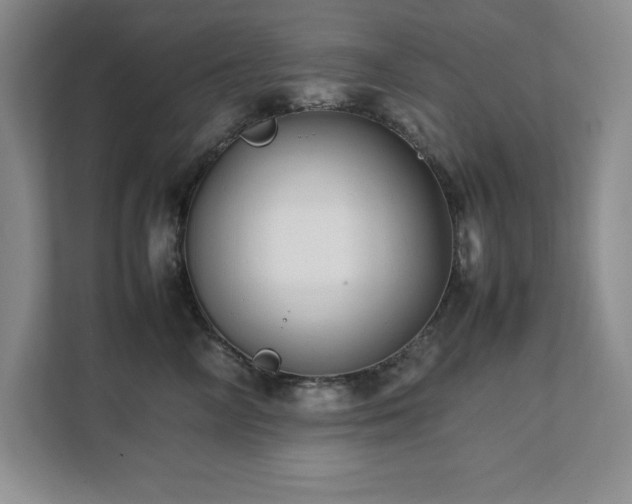 X0000111390714200907101146