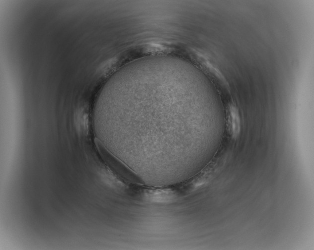 X0000111390716200907101146