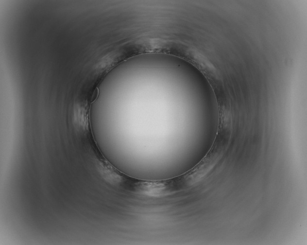 X0000111390719200907101146