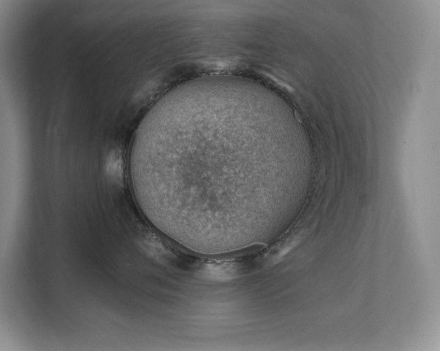 X0000111390720200907101146