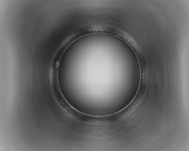 X0000111390722200907101146