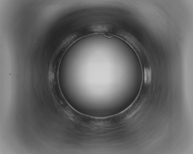 X0000111390723200907101146