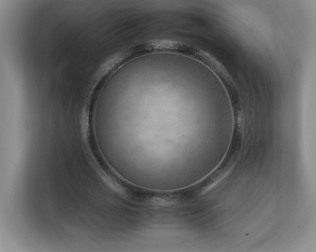 X0000111390725200907101146