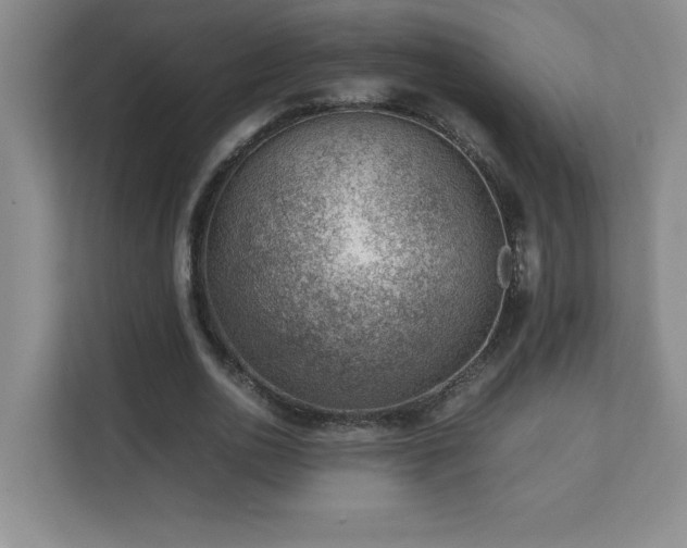 X0000111390726200907101146