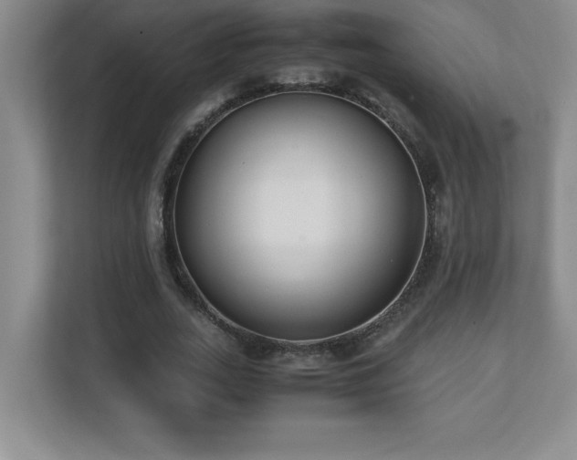 X0000111390727200907101146