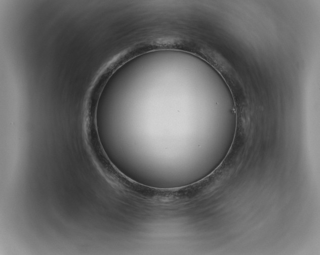 X0000111390728200907101146