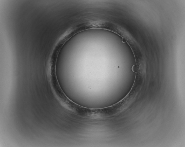 X0000111390730200907101146