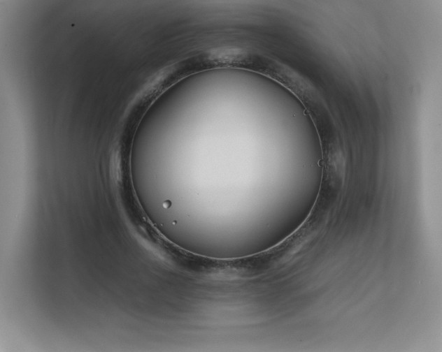 X0000111390734200907101146