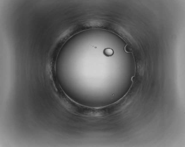 X0000111390735200907101146