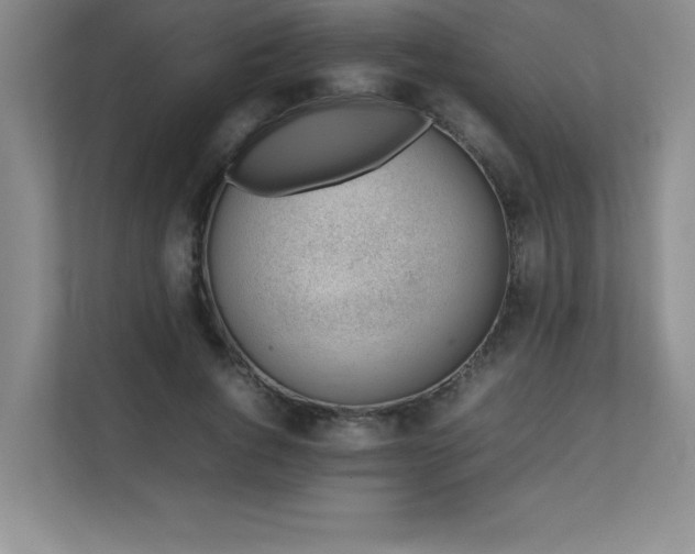 X0000111390736200907101146