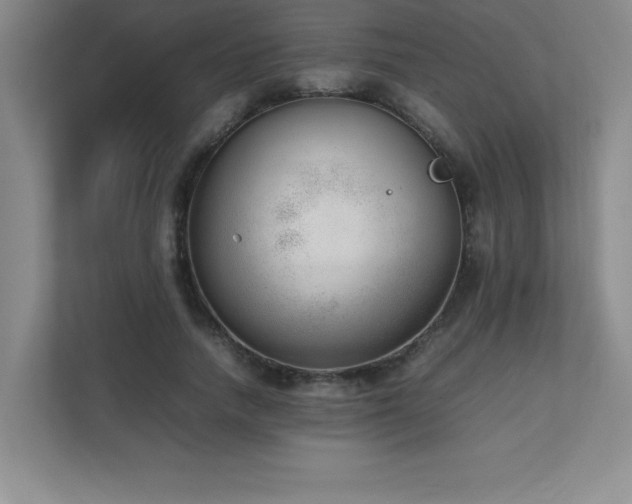 X0000111390738200907101146