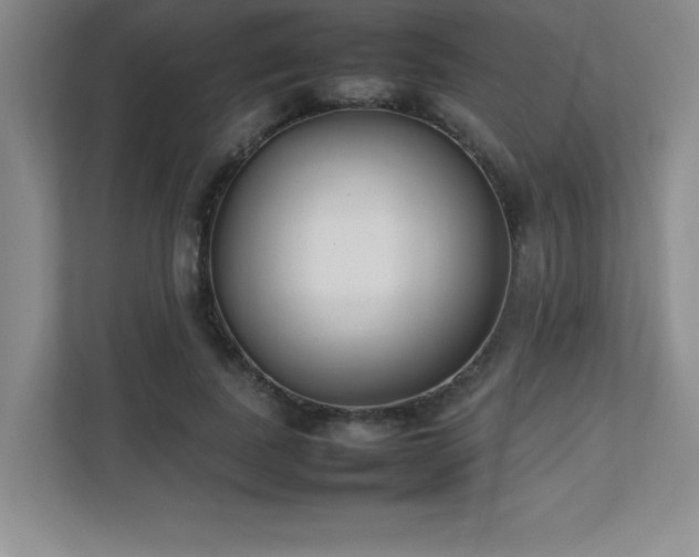 X0000111390739200907101146