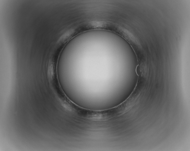 X0000111390740200907101146