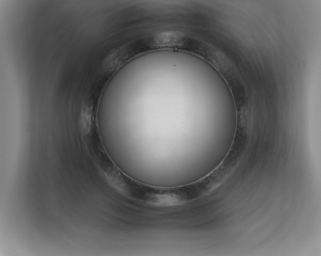 X0000111390741200907101146