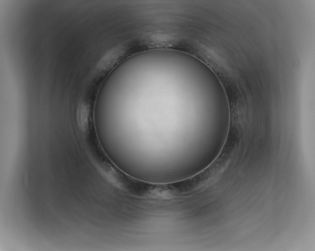 X0000111390742200907101146