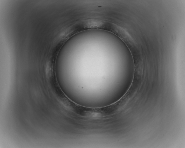 X0000111390743200907101146