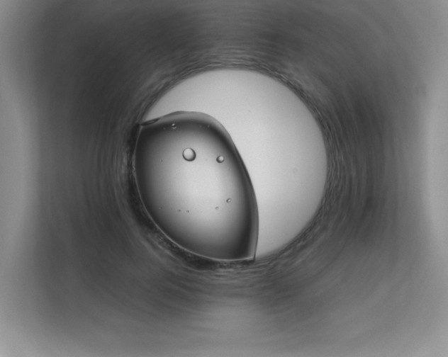 X0000111390744200907101146