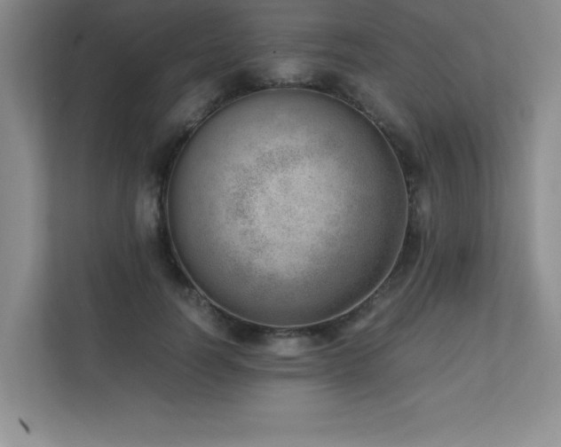 X0000111390746200907101146