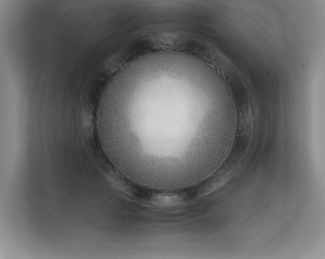 X0000111390749200907101146