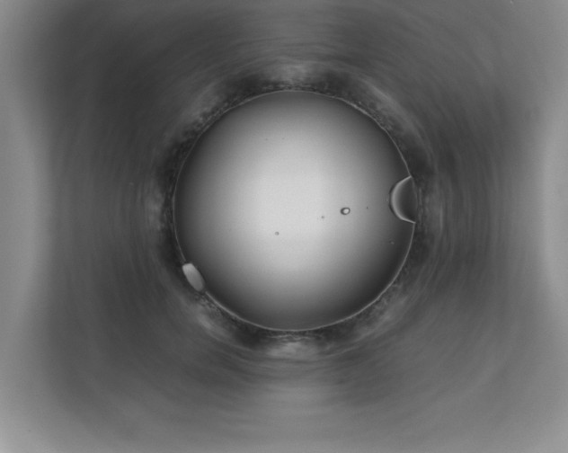 X0000111390750200907101146