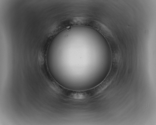 X0000111390751200907101146