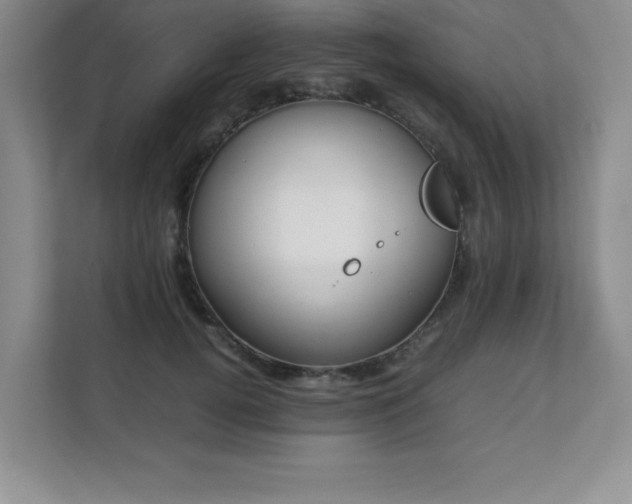 X0000111390752200907101146