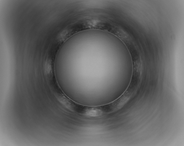 X0000111390754200907101146