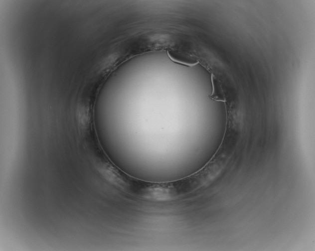 X0000111390756200907101146