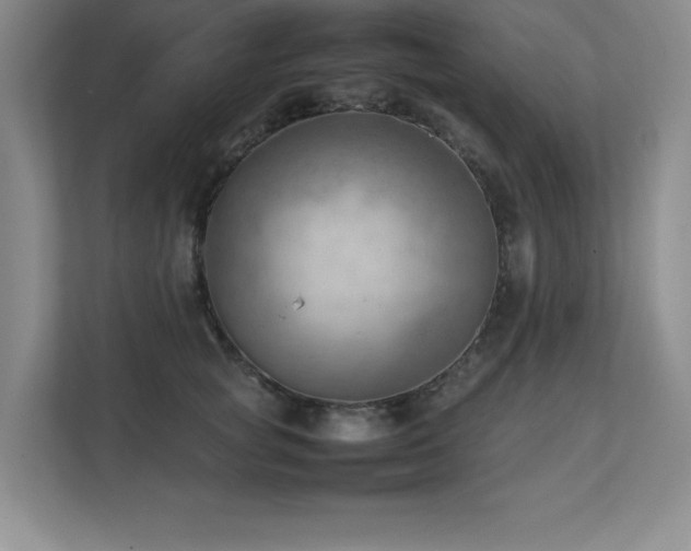 X0000111390757200907101146