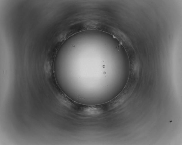 X0000111390759200907101146