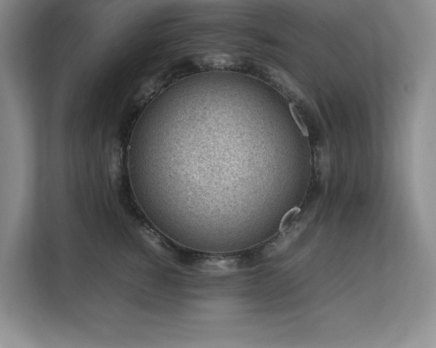 X0000111390760200907101146