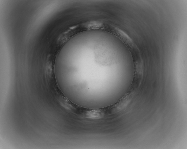 X0000111390761200907101146